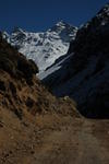 gallery_261.jpg