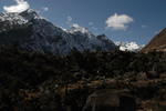 gallery_276.jpg