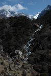 gallery_278.jpg