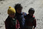 gallery_275.jpg