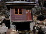gallery_257.jpg
