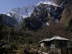 gallery_290.jpg