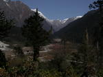 gallery_292.jpg