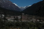 gallery_295.jpg