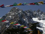 gallery_294.jpg