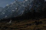 gallery_299.jpg