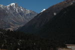 gallery_300.jpg