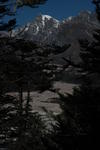 gallery_302.jpg
