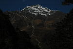 gallery_303.jpg