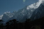 gallery_305.jpg