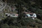gallery_306.jpg