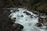 gallery_281.jpg