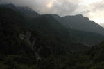gallery_288.jpg