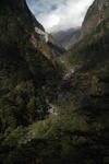 gallery_282.jpg
