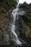 gallery_287.jpg