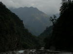 gallery_283.jpg