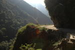 gallery_321.jpg
