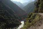 gallery_322.jpg