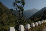 gallery_323.jpg