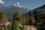 gallery_325.jpg