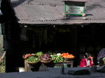 gallery_330.jpg