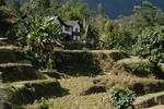 gallery_343.jpg
