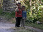 gallery_317.jpg