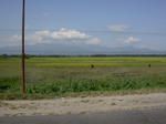gallery_013.jpg