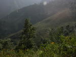gallery_391.jpg