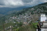 gallery_023.jpg