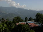 gallery_350.jpg