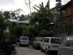 gallery_351.jpg