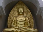 gallery_050.jpg