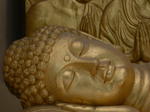 gallery_048.jpg