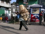 gallery_148.jpg