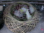 gallery_122.jpg