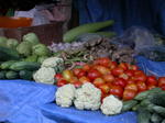 gallery_124.jpg