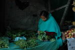 gallery_132.jpg