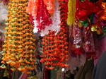 gallery_363.jpg