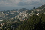 gallery_029.jpg