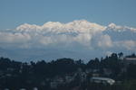 gallery_034.jpg
