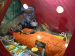 gallery_380.jpg