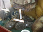 gallery_381.jpg