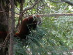 gallery_388.jpg