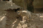 gallery_389.jpg