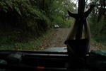 gallery_068.jpg