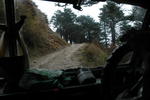 gallery_071.jpg