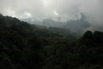 gallery_070.jpg