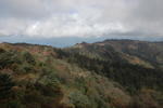gallery_076.jpg