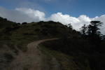 gallery_078.jpg
